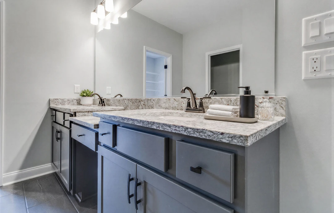 Bathroom with a granite countertop, white cabinetry and shelving, a potted plant, a black bottle, and a close-up of the sink near a white door with glass panels.