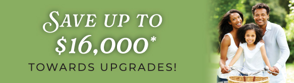 Building center promotion