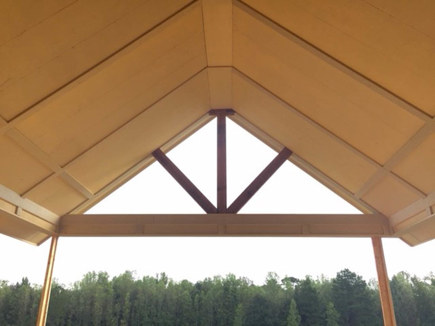 Dark gray metal roof with exposed wooden beams, surrounded by tall green trees, under a clear sky