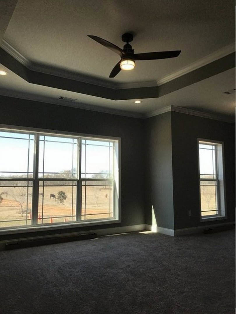 Ceiling fan with round light fixture above carpeted room, sunlight streaming through window overlooking field with horses