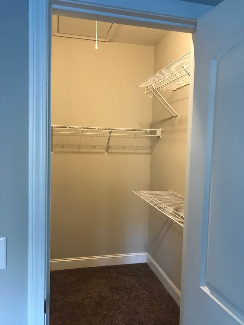 Walk-in closet with white wire shelving, beige carpet flooring, and smooth white walls