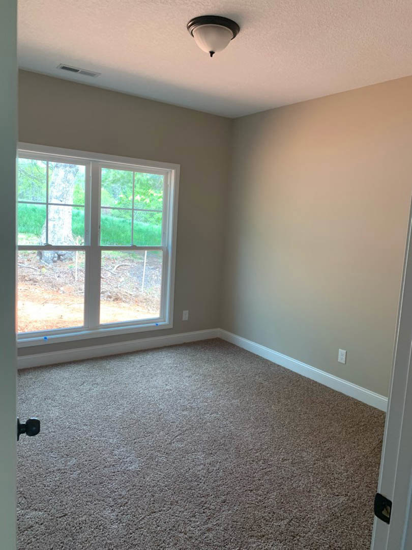 Carpeted room with white plaster walls, large window showing leafy tree outside, modern ceiling light fixture, and close-up of brushed metal door knob