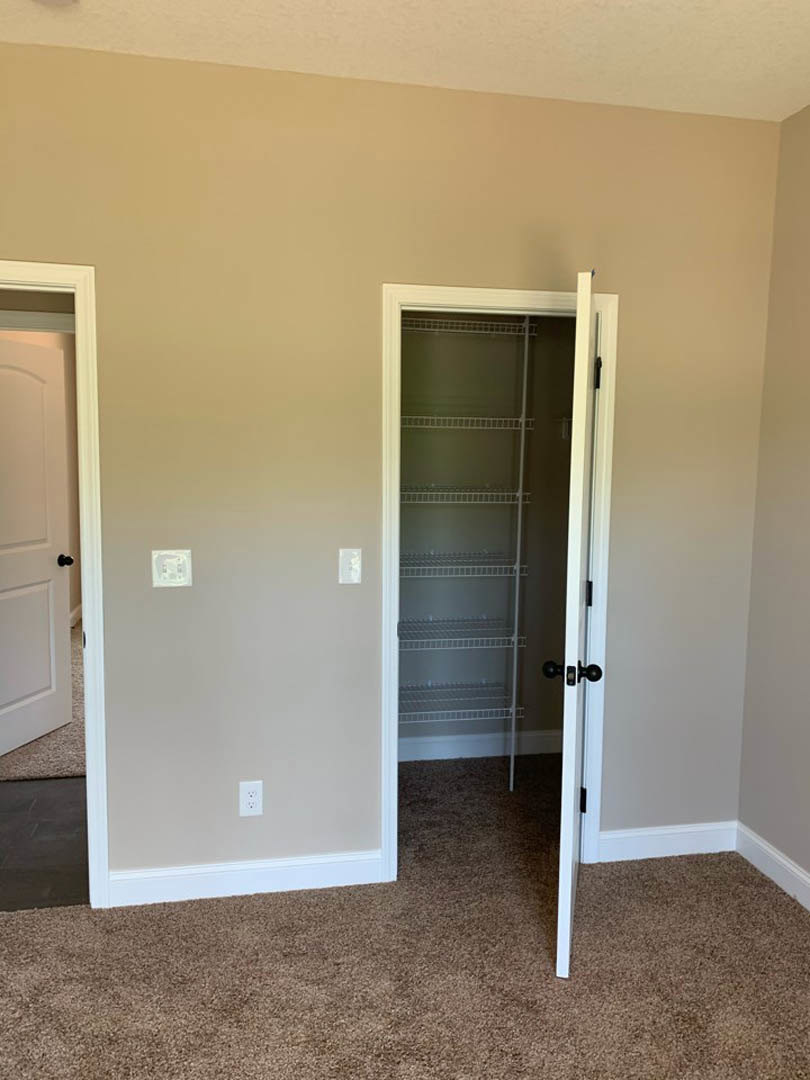 Open white door revealing empty closet with built-in shelves, textured grey carpet flooring, and smooth plaster walls