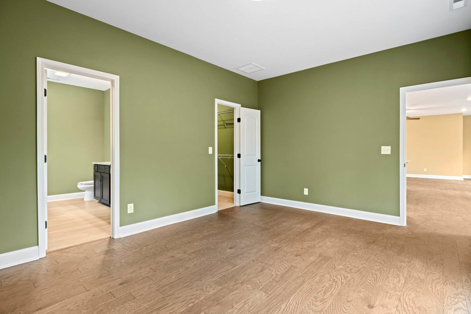 Bathroom with green plaster walls, wood laminate flooring, white door with black knobs, white toilet and sink, close-up of cabinet.