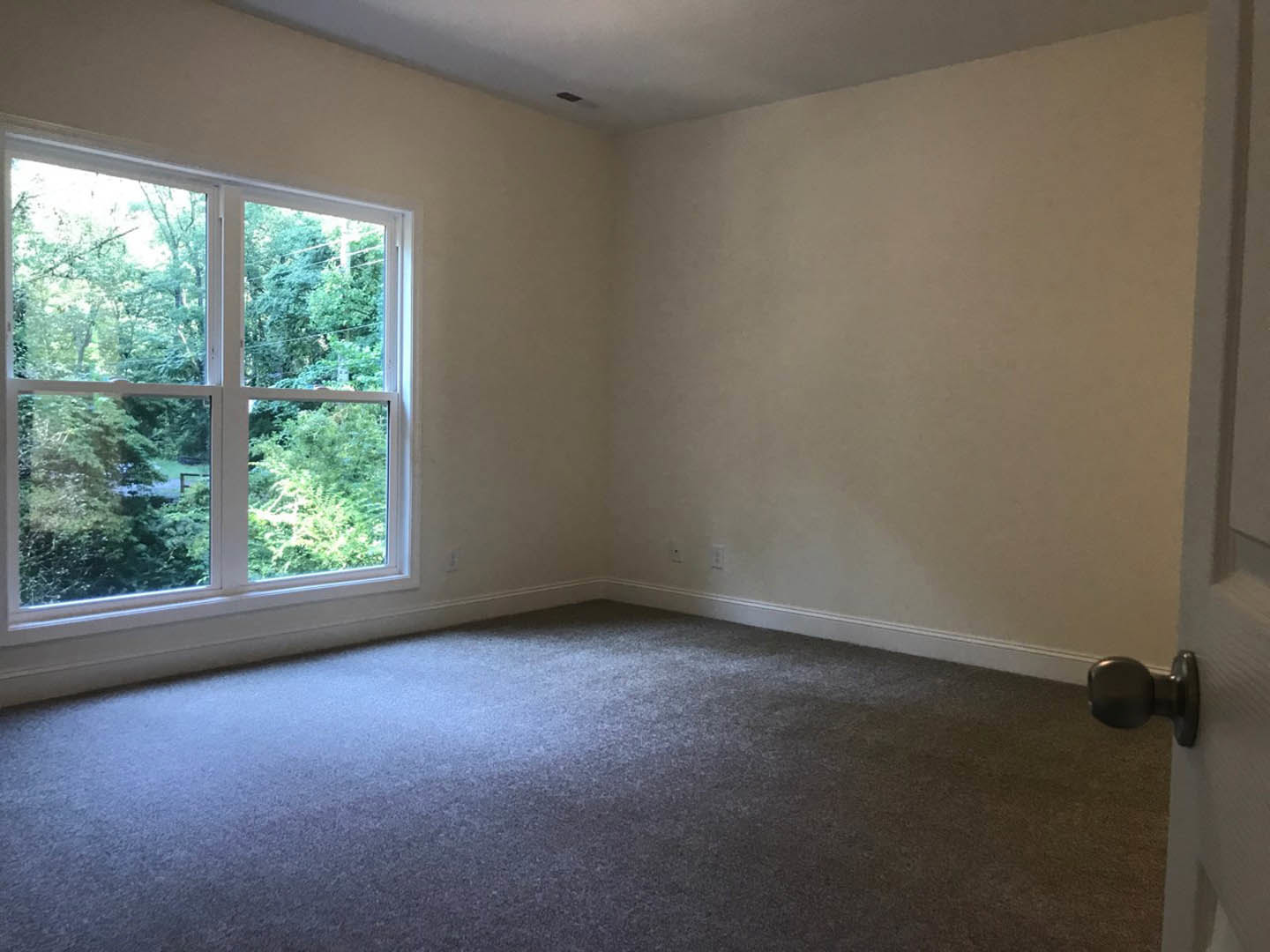 Bright room with large window overlooking leafy trees and backyard fence, grey carpet flooring, white plaster walls, and close-up of brushed metal door knob