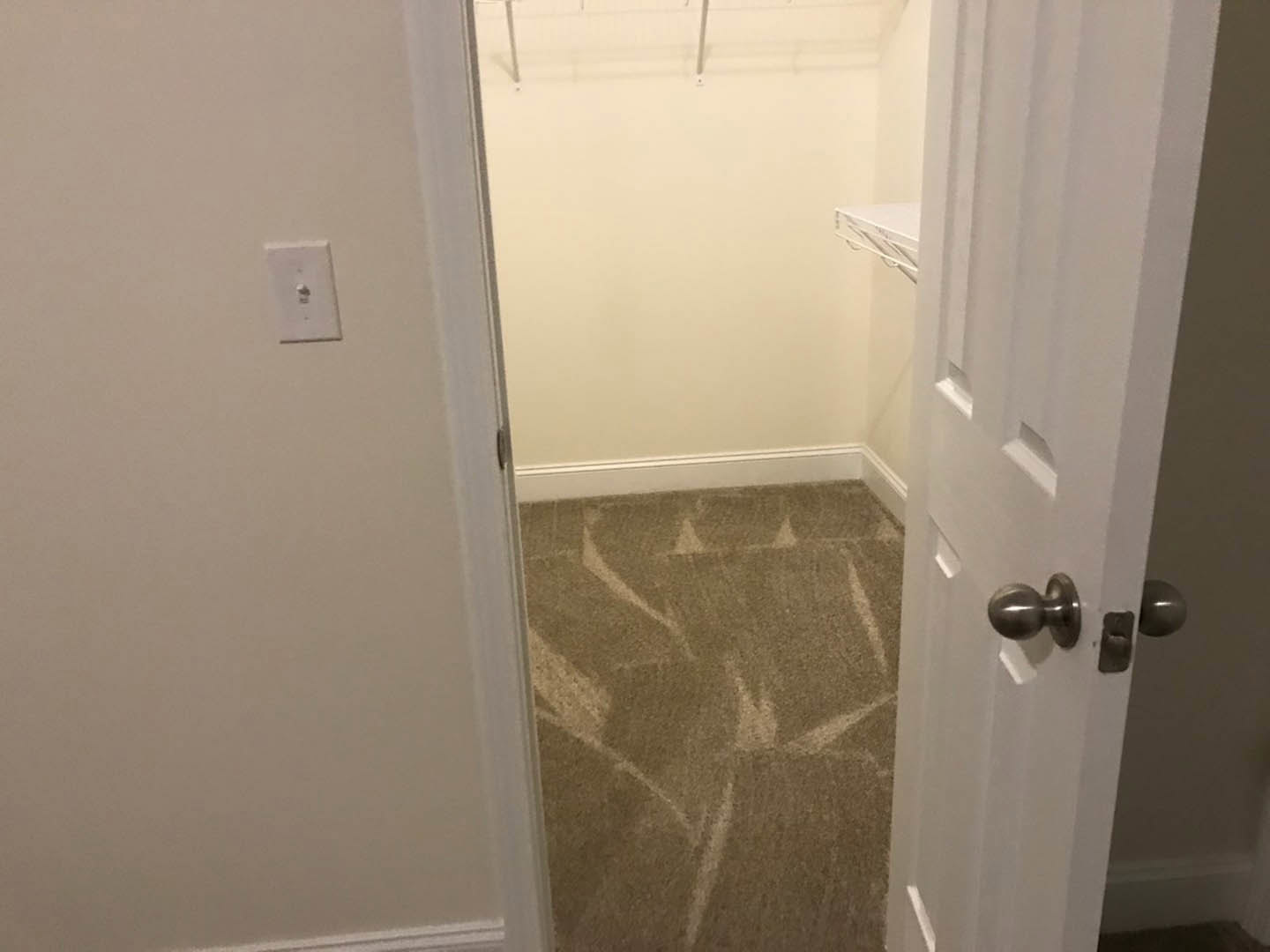 White door open to a closet with carpeted floor, white walls, built-in shelf, and brushed metal door knob; light switch visible on adjacent wall.