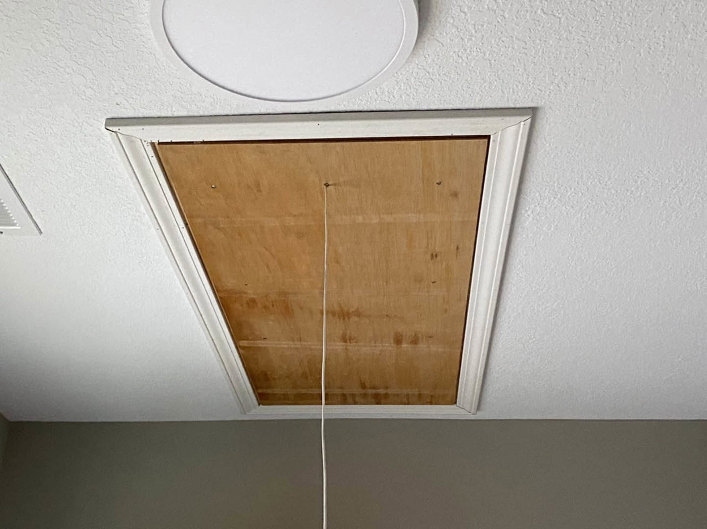 Ceiling with tan wood paneling and a minimalist light fixture suspended by a white cord, surrounded by smooth plaster surfaces.