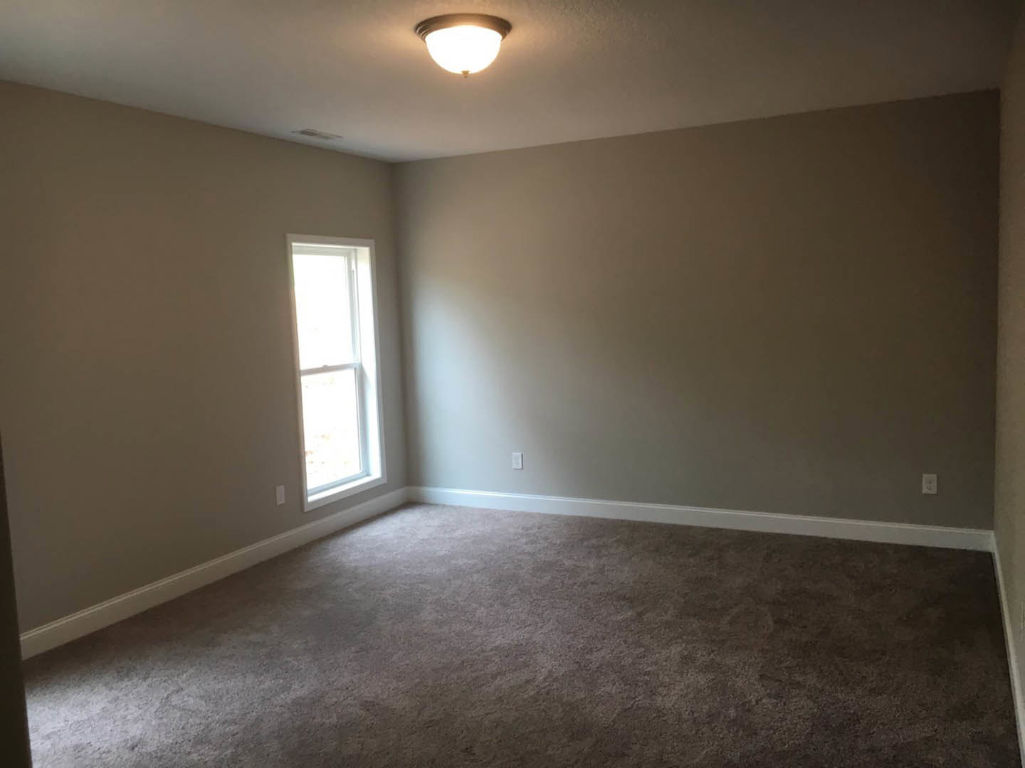 Carpeted room with white walls, ceiling-mounted light fixture, window allowing natural light, simple molding along baseboards