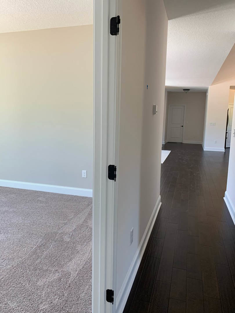White hallway with dark wood flooring, open white door featuring black knobs and hinges, white trim along baseboards, close-up of carpet section, white walls with black border