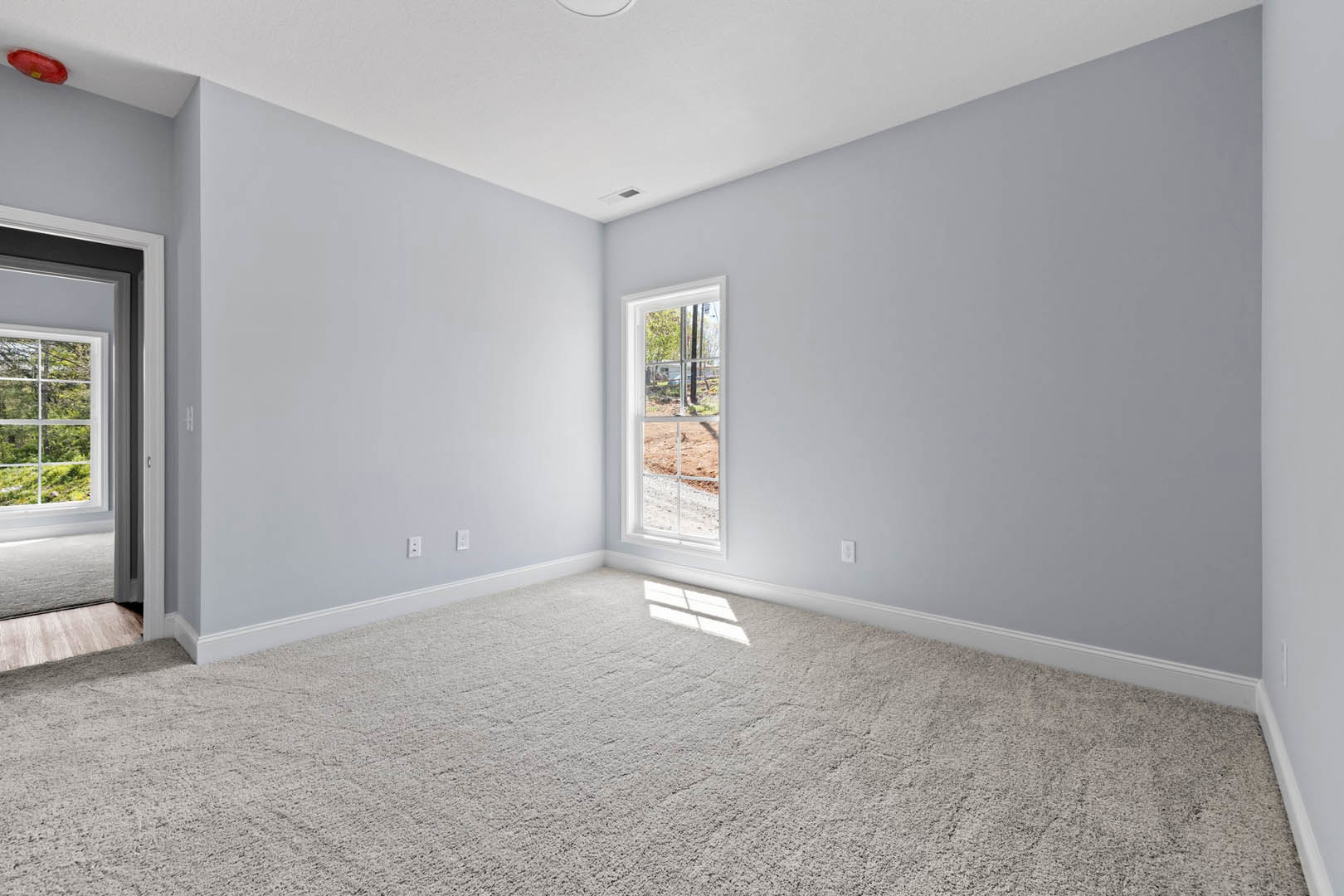 Bright room with white carpet, white walls, large multi-pane window, view of dirt field and forest, simple baseboard molding