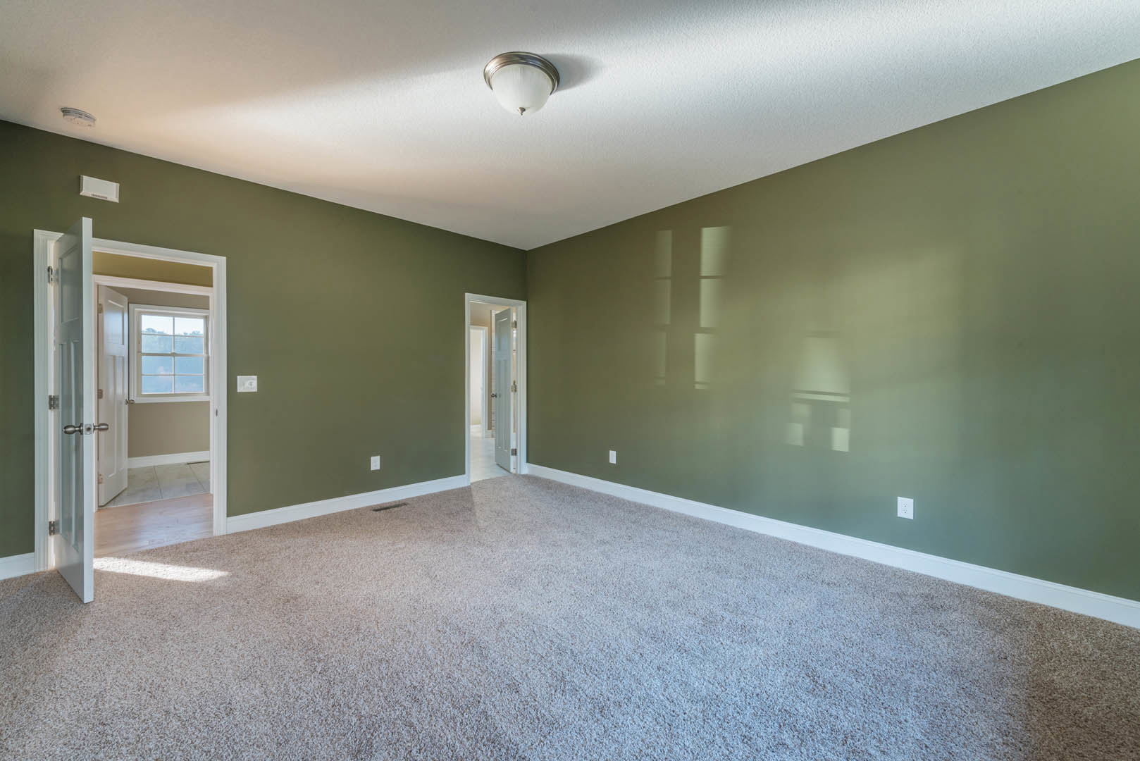 Green-painted walls, white-framed window, white door with glass panel, wall-mounted light fixture, carpeted floor, decorative molding along ceiling