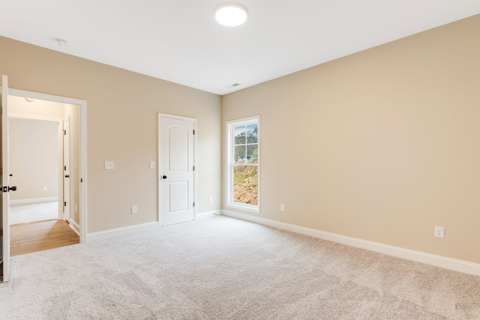Carpeted room with white paneled door featuring black knobs, large window, white ceiling light, and smooth plaster walls