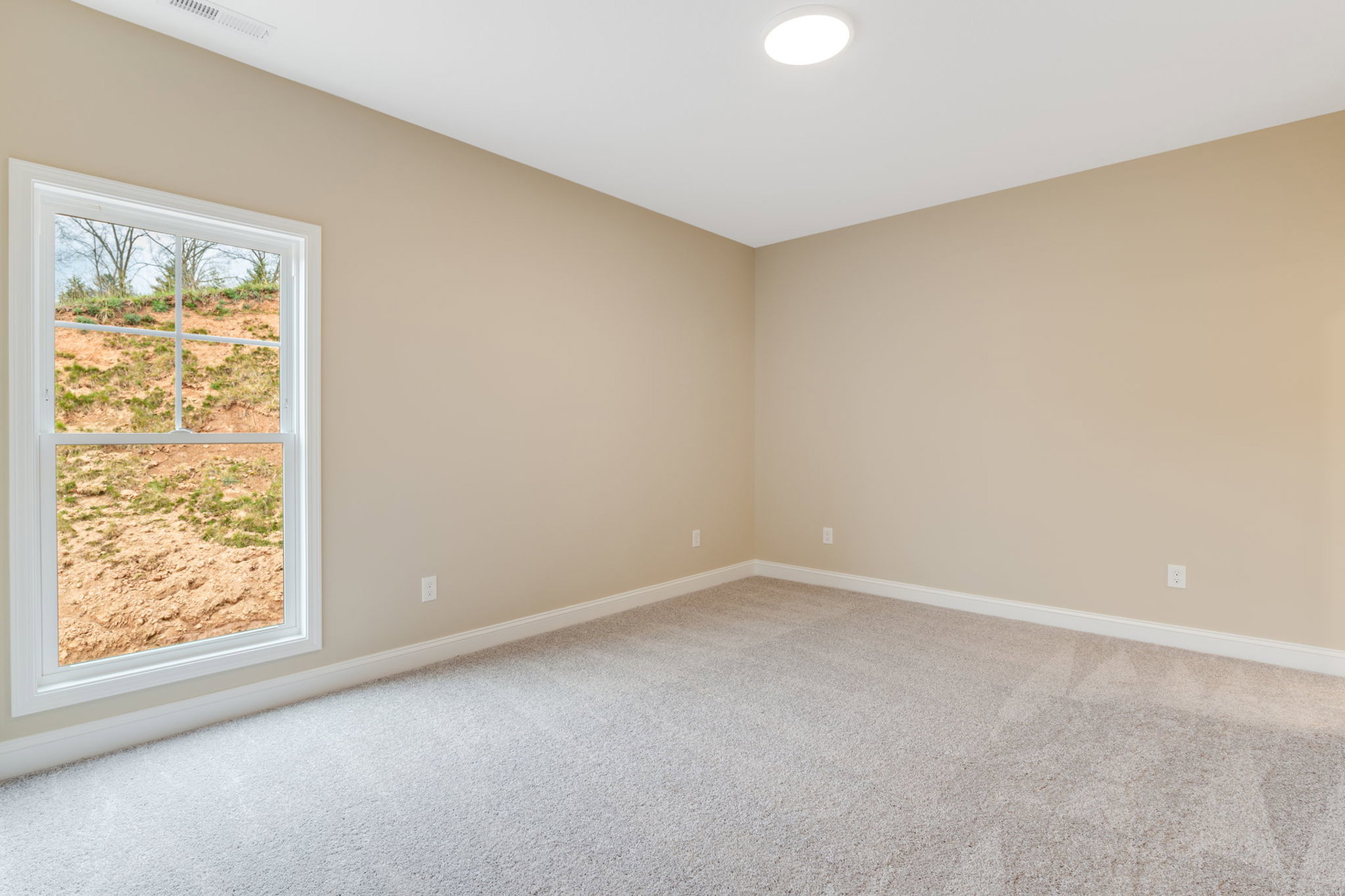 Carpeted room with white walls, ceiling light, large window overlooking field and trees, simple baseboard molding.