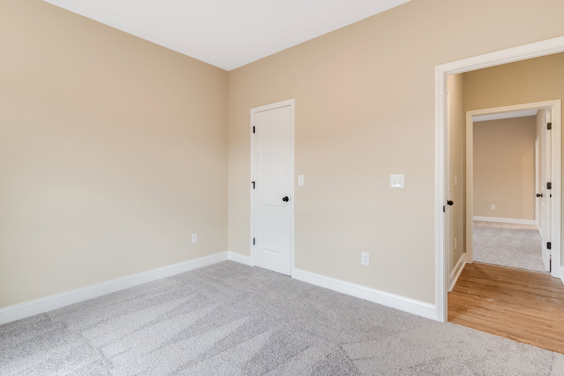 White paneled door with black knob, white carpet over light wood laminate flooring, white walls with crown molding in a residential interior room