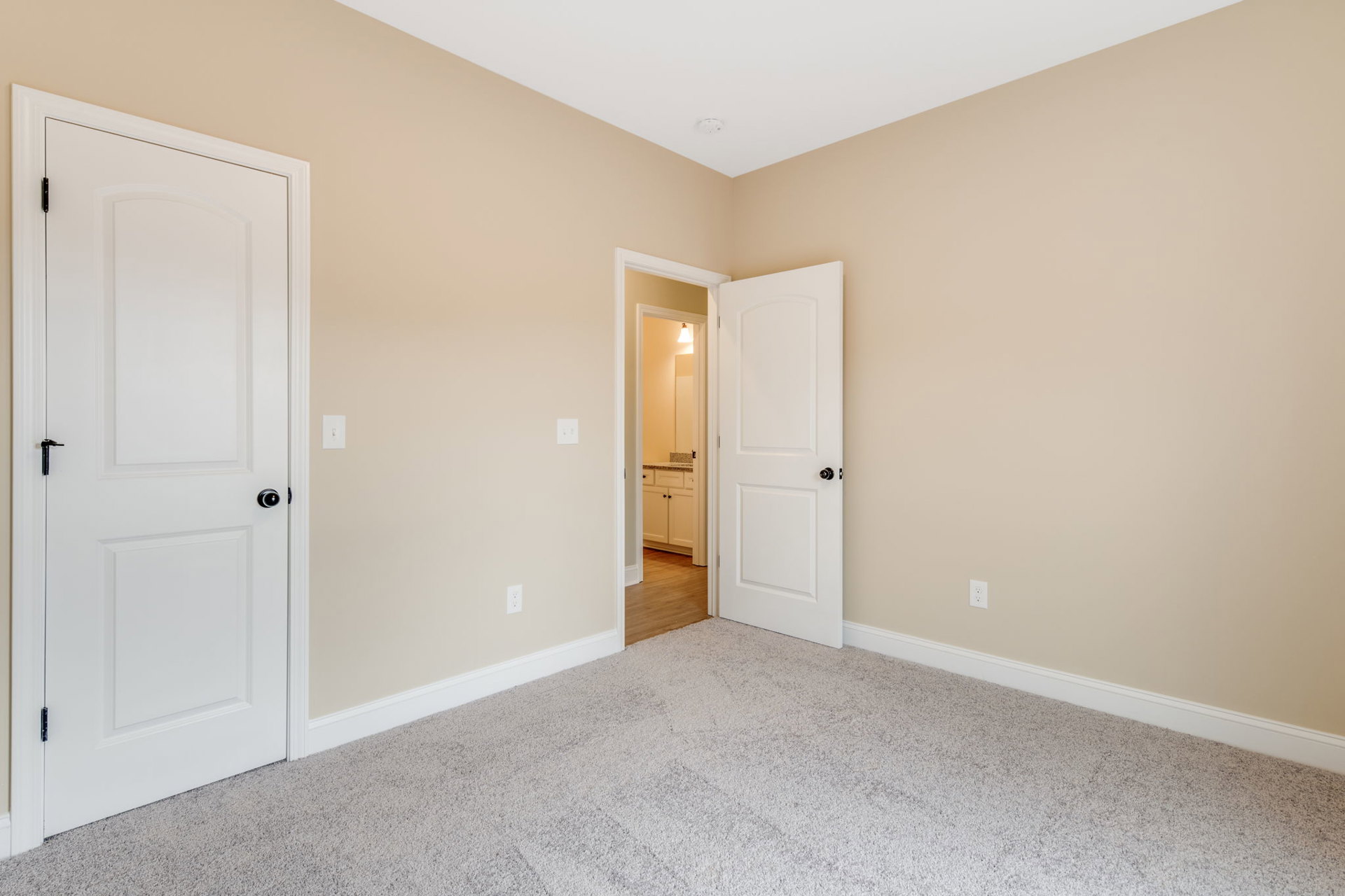 Room with two white doors, carpeted walls, light carpet flooring, open door revealing bathroom with countertop and wood cabinetry