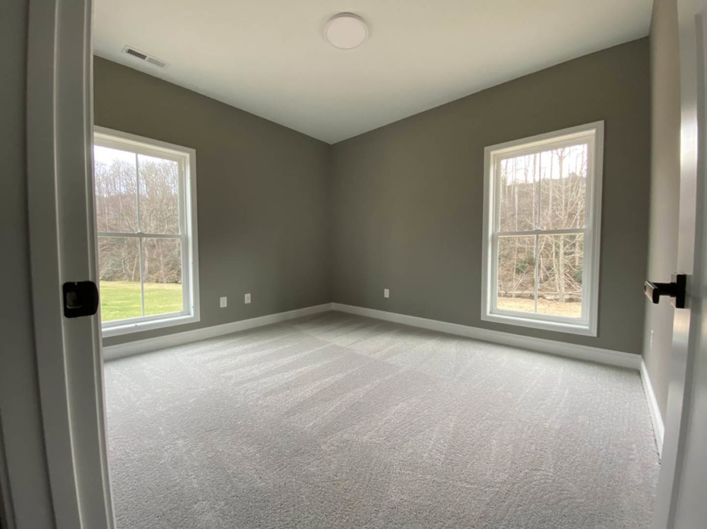 Carpeted room with open white door, two large windows showing leafy trees outside, smooth plaster walls, and simple black door hardware