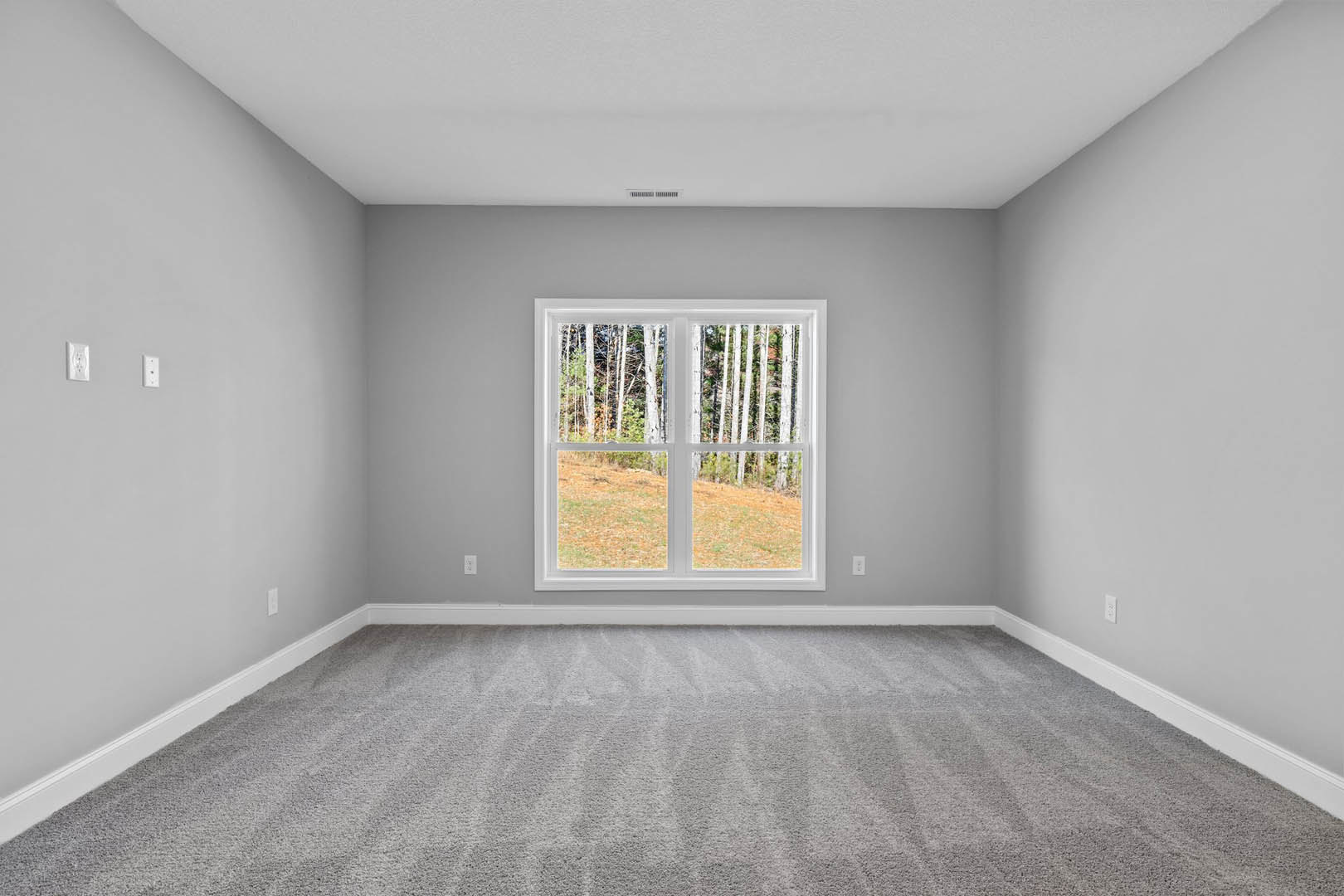 Carpeted room with white walls, large window overlooking grassy hill and trees, plaster ceiling