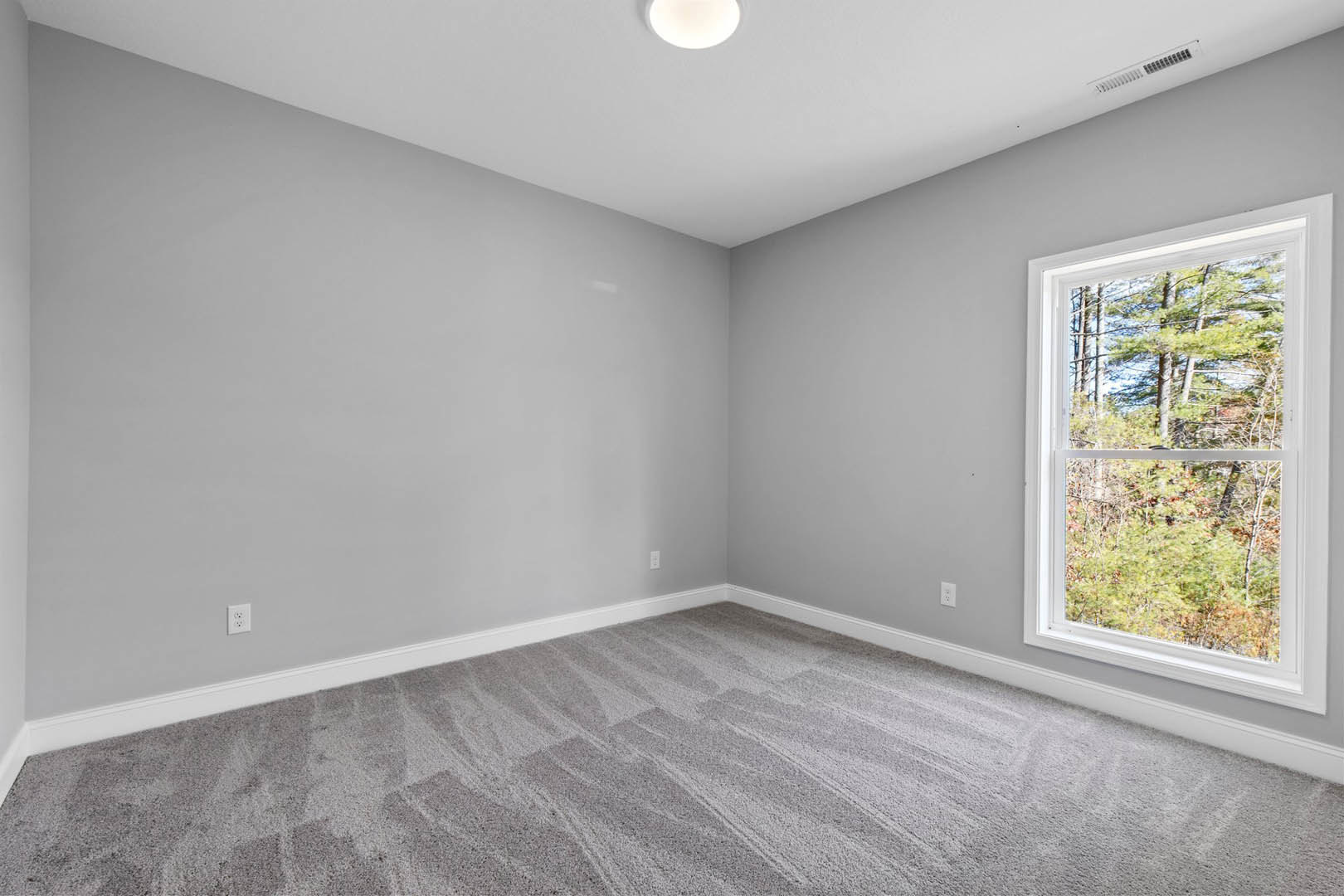 Sunlit room with large window overlooking trees, soft grey carpet flooring, white ceiling light fixture, and smooth white walls with subtle molding.