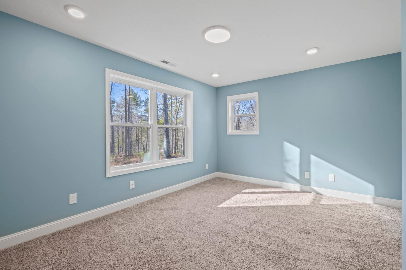 Blue-painted walls, carpeted floor, large window with view of leafy trees, white circular ceiling light fixture, simple white trim and molding