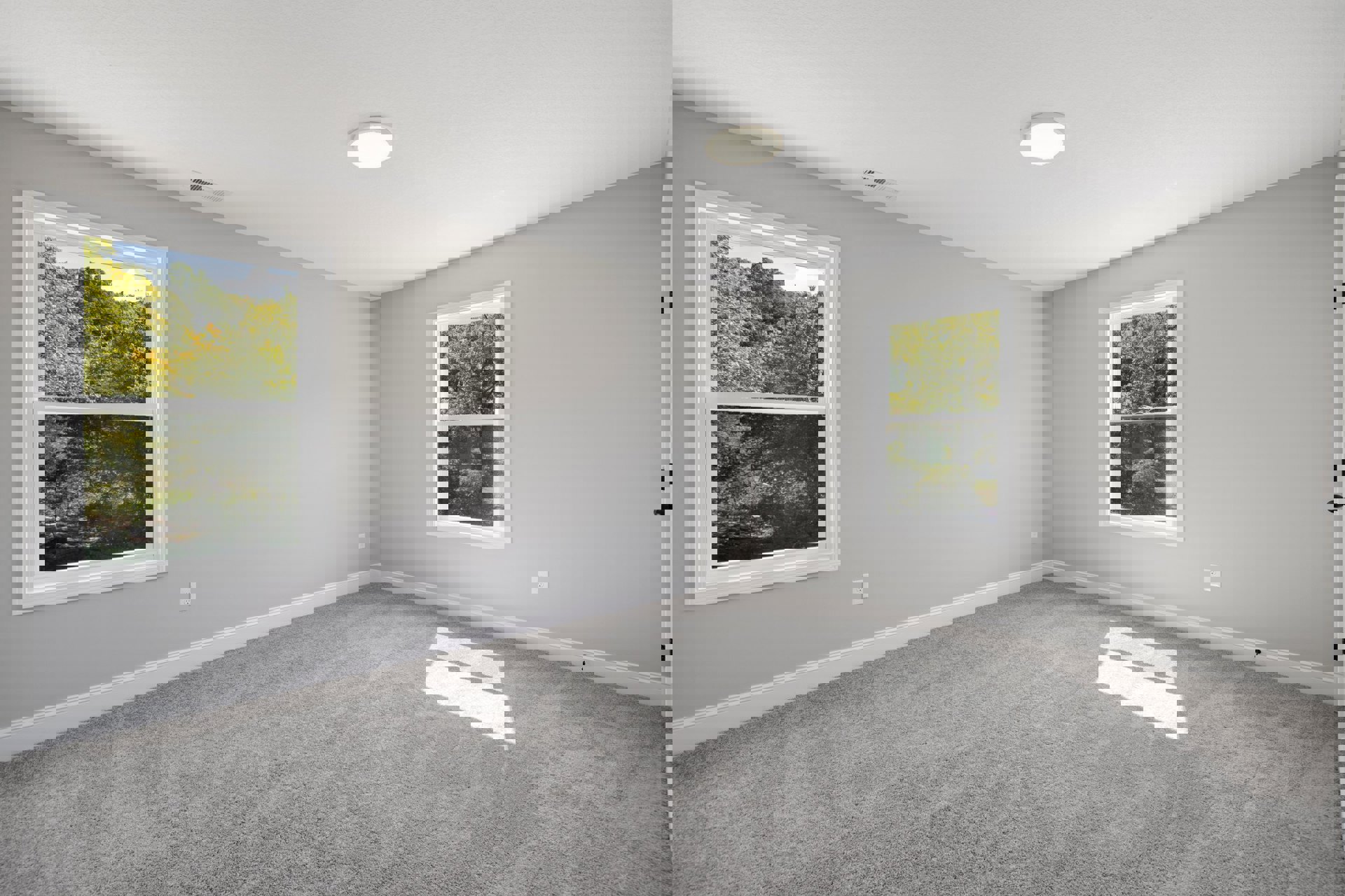 Spacious room with large windows overlooking trees, soft grey carpet flooring, white plaster walls, and modern ceiling light fixture