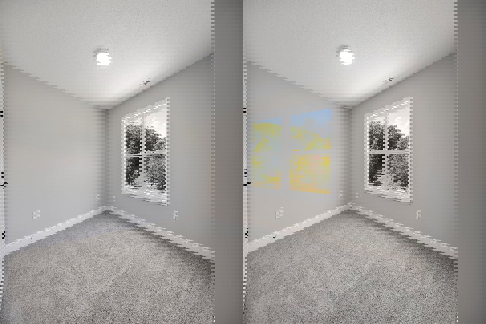 Sunlit room with large window overlooking trees, soft grey carpet flooring, white plaster walls, and modern ceiling light fixture