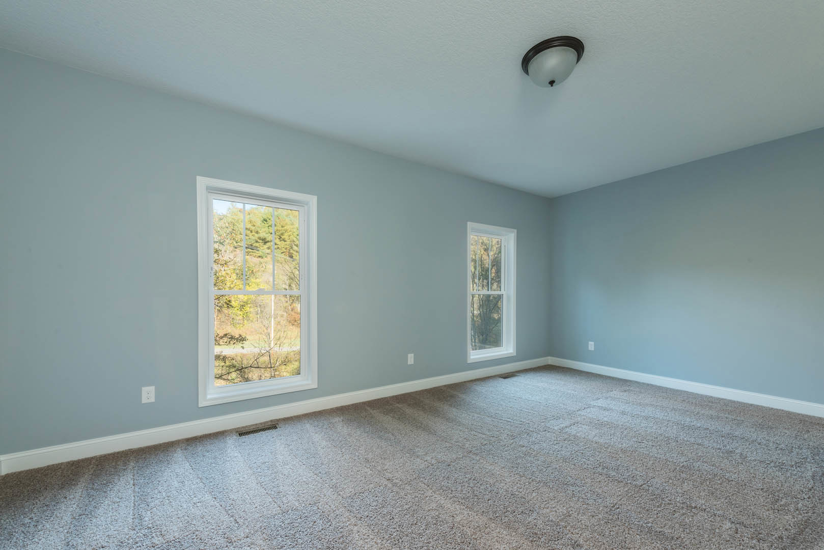 Light blue painted wall with white-trimmed windows, ceiling-mounted light fixture, carpeted floor, and outdoor trees visible through the glass.