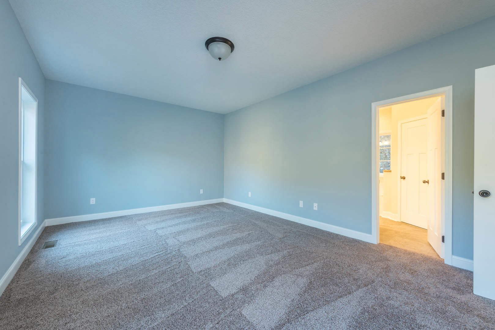 Carpeted room with light blue walls, white door featuring gold handles, ceiling-mounted light fixture, and a close-up window.