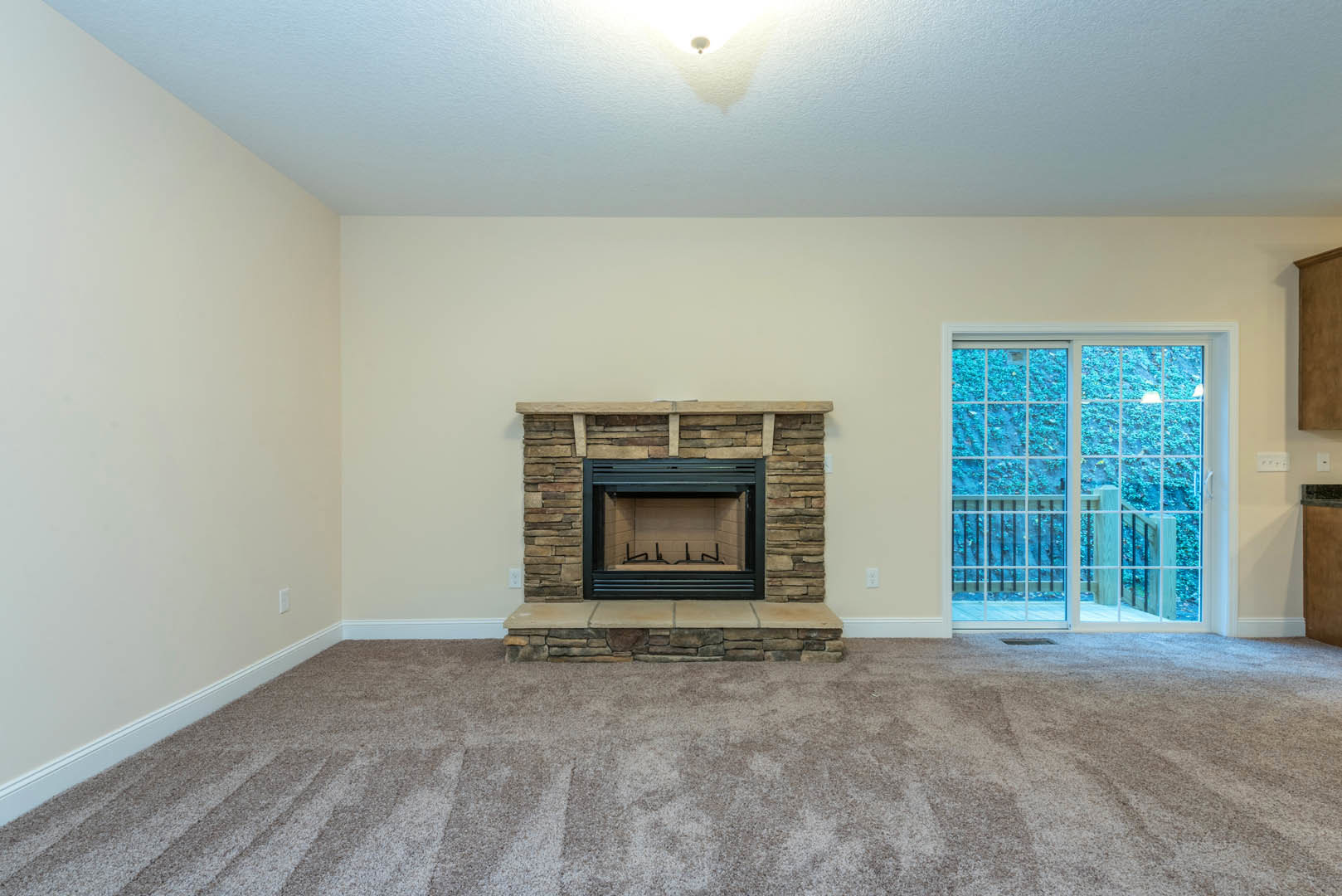 Carpeted living room featuring a stone fireplace with a black frame, sliding glass door with wooden railing, and plaster walls.