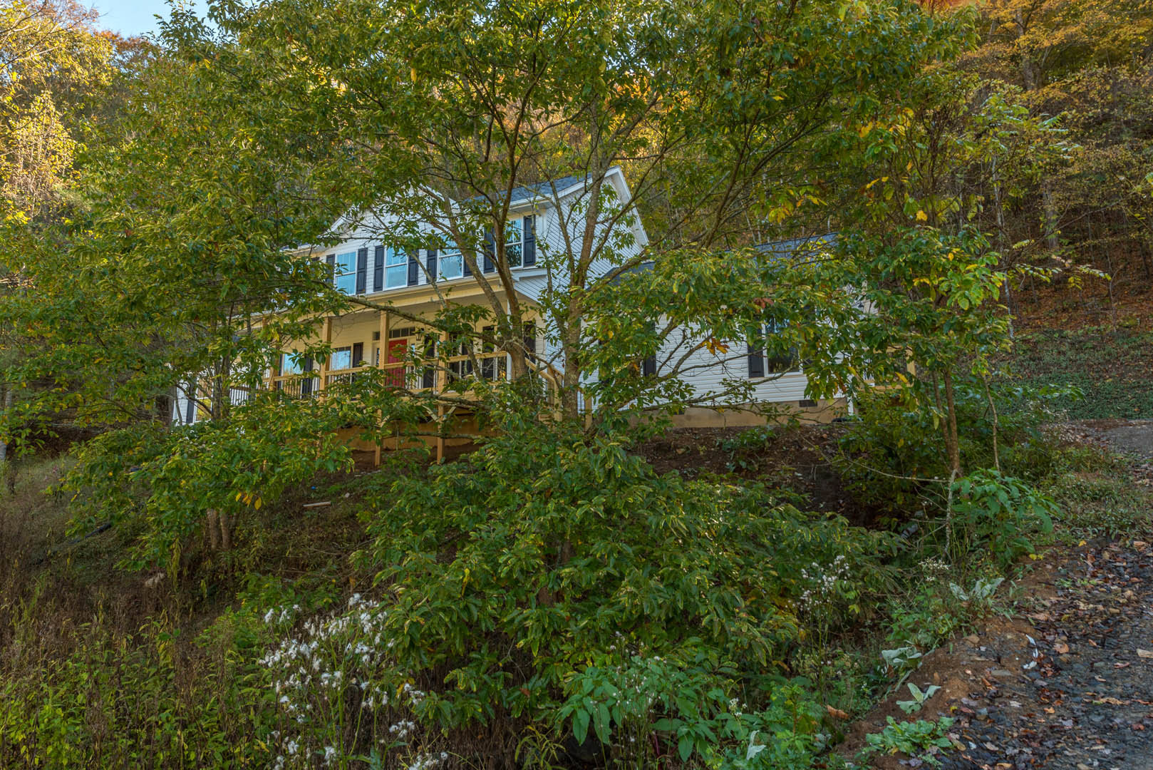 Modern home with large windows on a grassy hill, surrounded by birch trees with green and autumn leaves, under a clear sky.