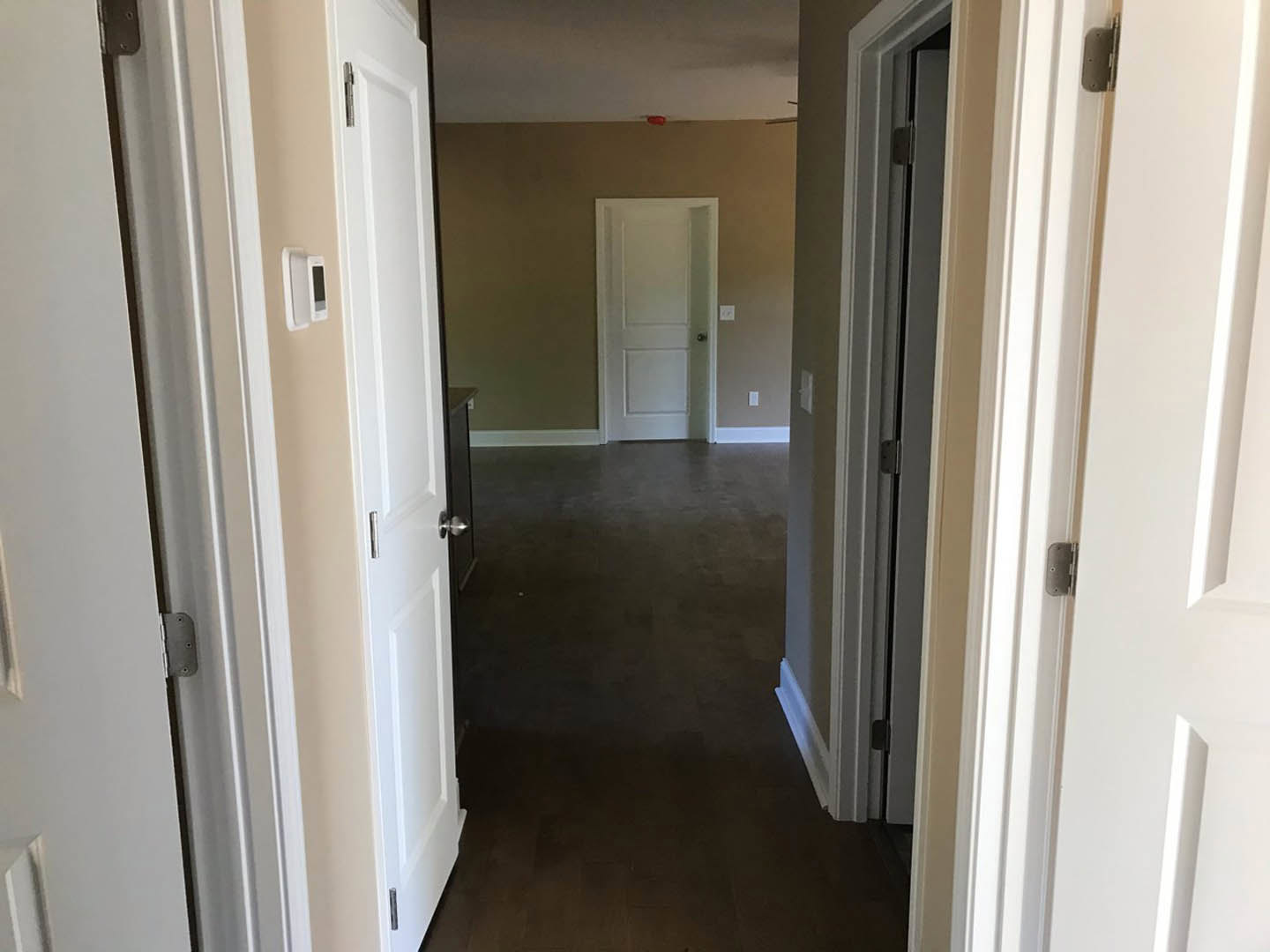 Hallway with white paneled doors, silver door knobs, wood flooring, white plaster walls, and ceiling fixtures