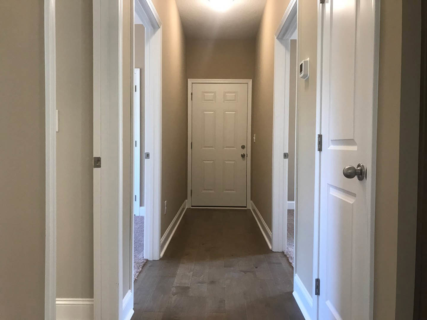 Hallway with white paneled doors, brushed silver handles, wood flooring with white baseboards, and a ceiling light fixture illuminating plaster walls