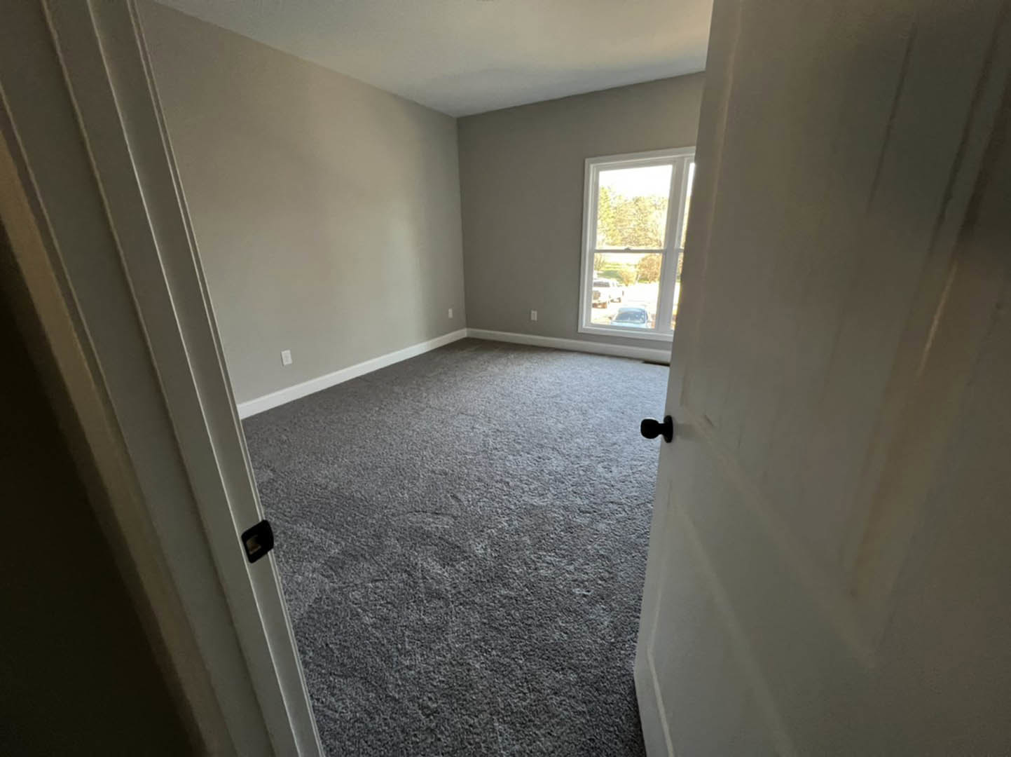 White door with black knob open to a room with grey carpet, white walls, and ceiling; window reveals green trees outside.