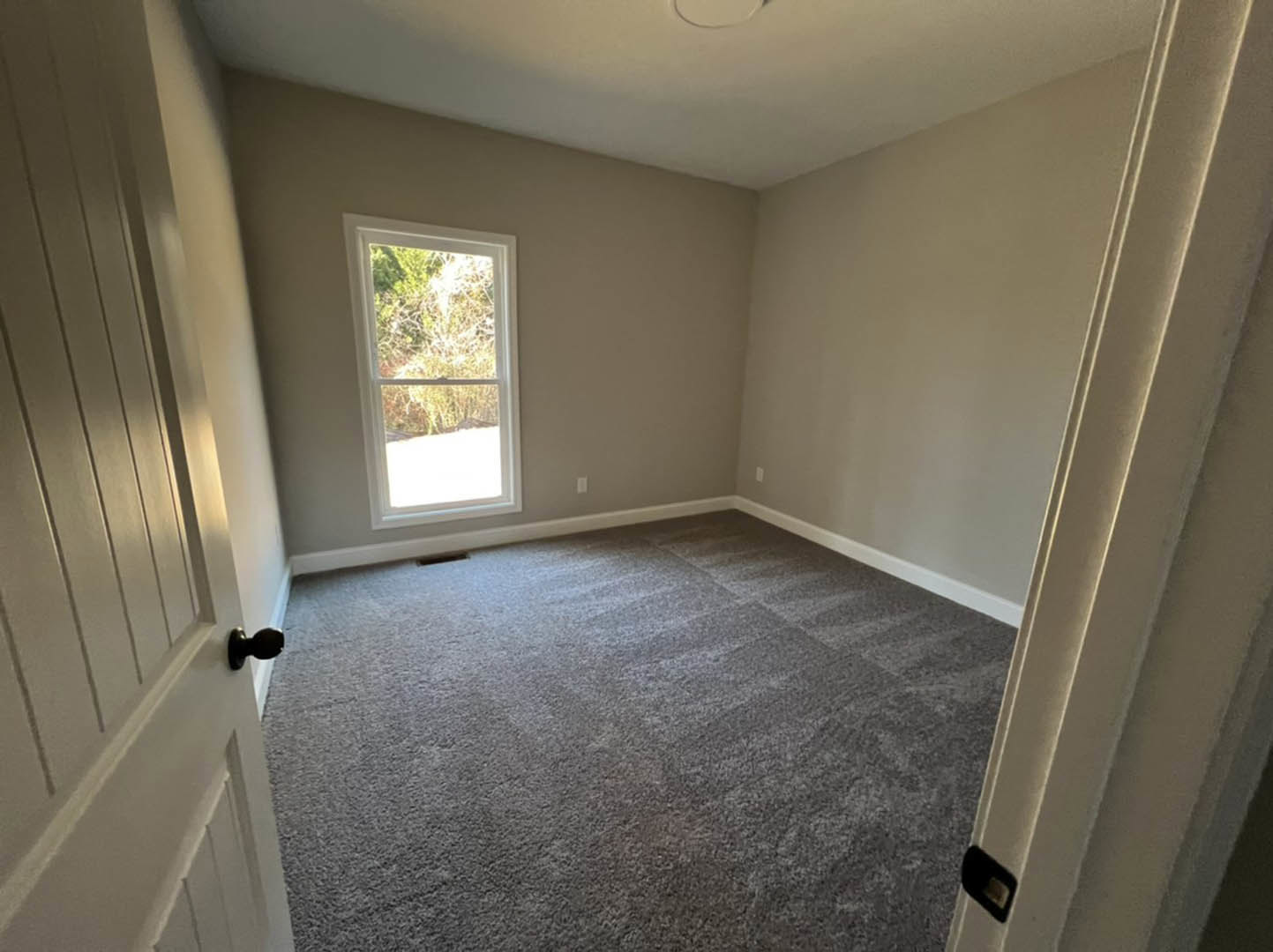 Carpeted bedroom with white walls, large window overlooking trees, and a wooden door with silver knob