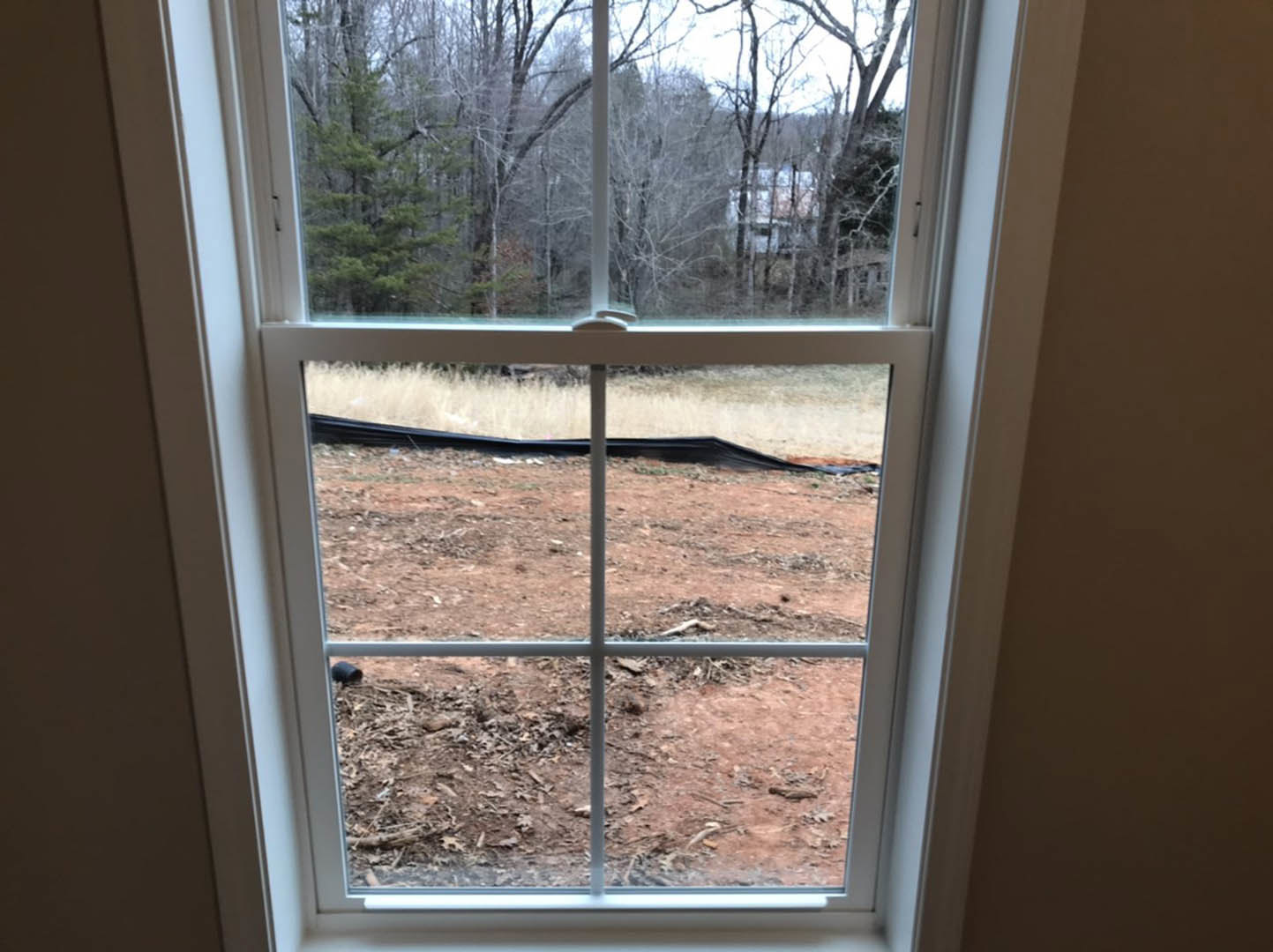 Large window with black metal frame overlooking dirt ground and dense trees, daylight streaming into indoor space