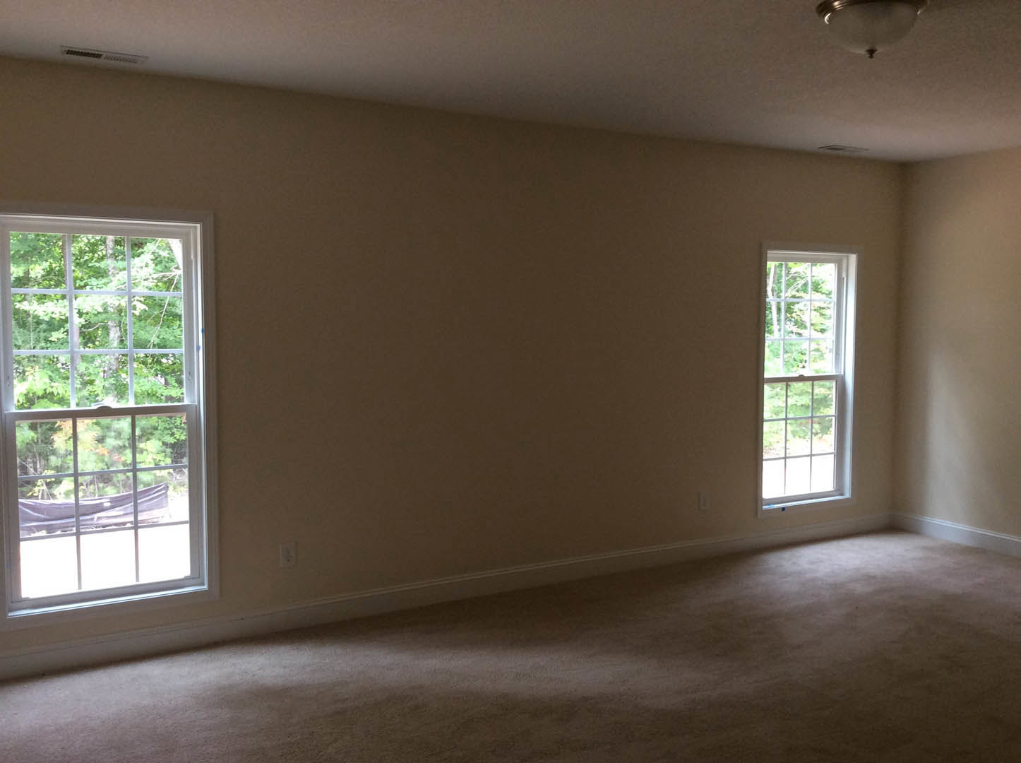 Carpeted room with two large windows, white plaster walls, ceiling light fixture, and views of leafy trees outside