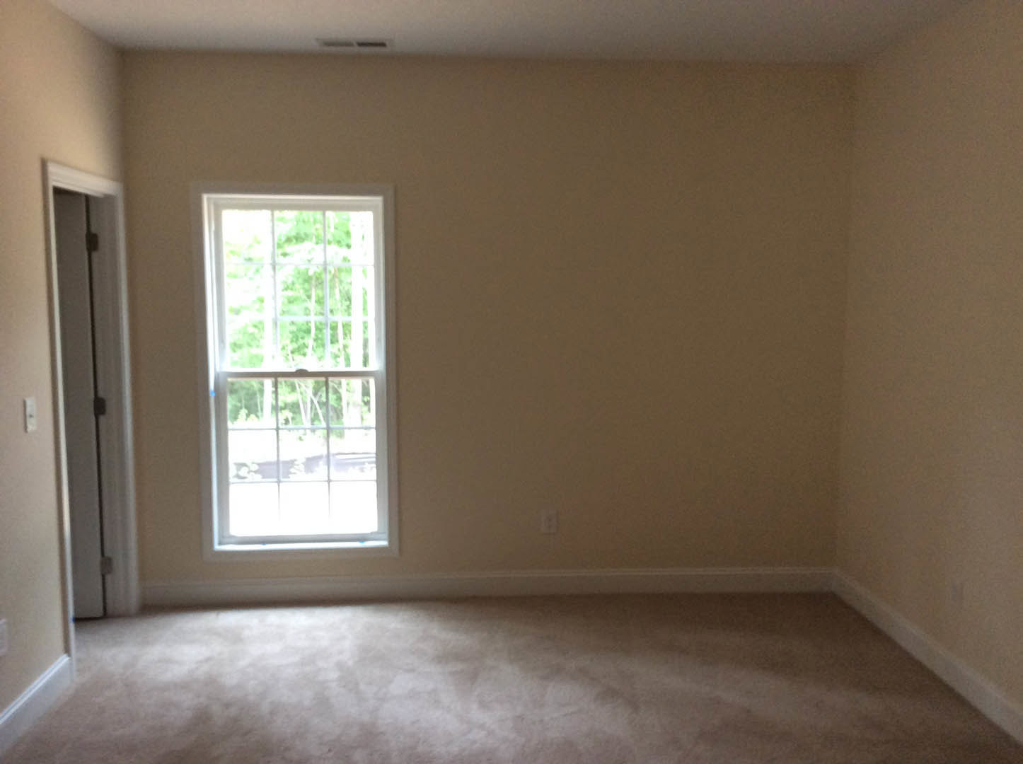 Bright room with white carpet, large window framed in black, sunlight streaming onto floor, white walls, partial view of door, leafy trees visible outside