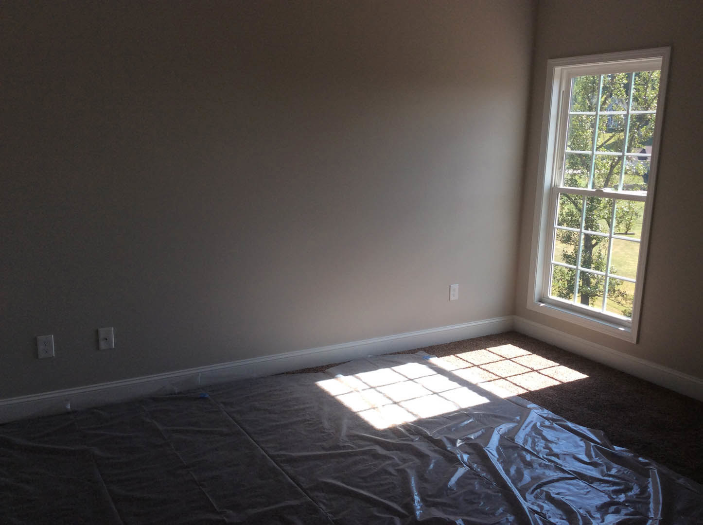 Sunlit room with beige carpet, large window revealing leafy tree outside, white sheet and plastic bag spread on floor, neutral walls, minimal furnishings.