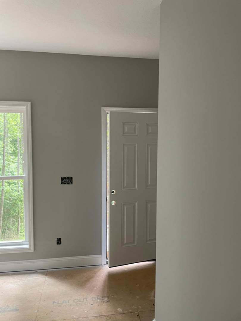 White paneled door and adjacent window with tree view, light hardwood flooring, smooth white walls, and minimalist trim in a modern residential room
