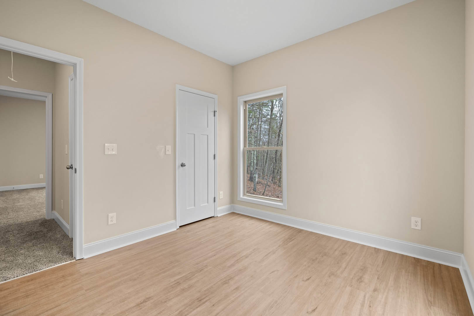 White door and window in a room with wood laminate flooring, white ceiling, and carpeted area; trees visible through the window.