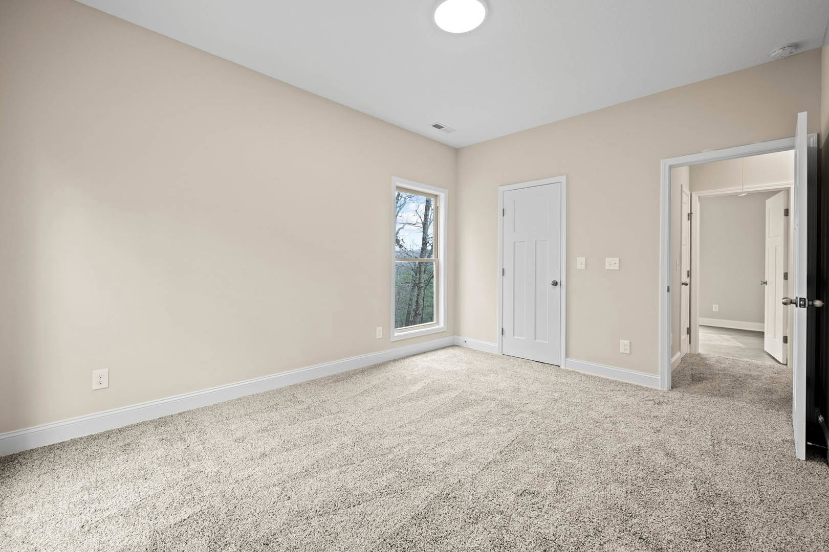 Beige walls and carpeted floor, white door with silver knob, window showing trees outside, ceiling light fixture