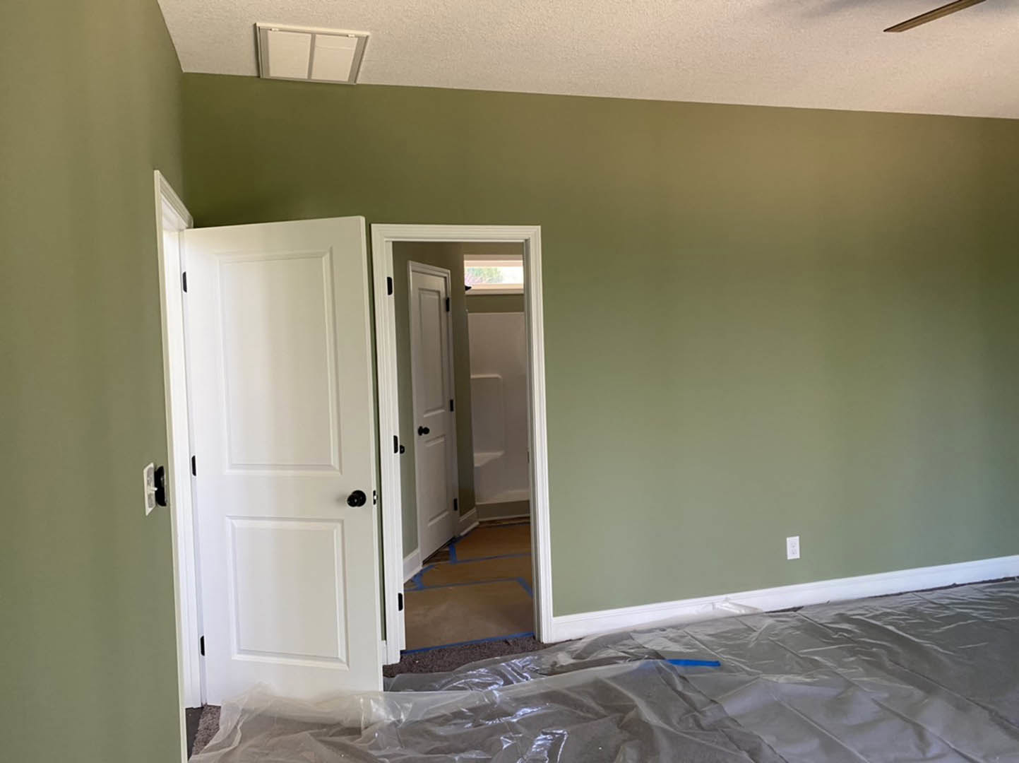 Green-painted walls, white door with black knobs, white tile accent on wall, plastic bag on light-colored floor