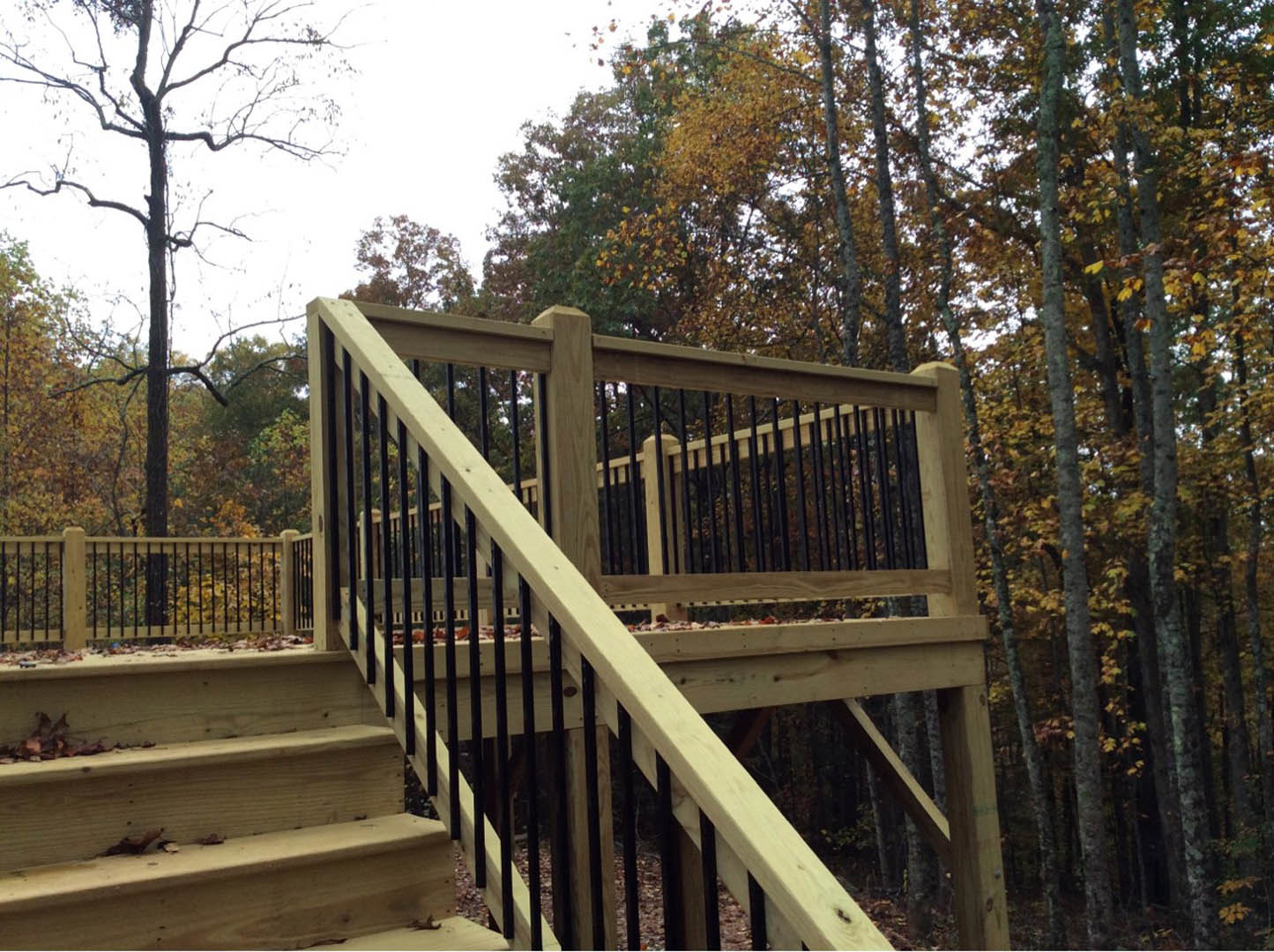 Wooden deck with black metal railings, surrounded by leafless trees, outdoor stairs, and natural landscaping