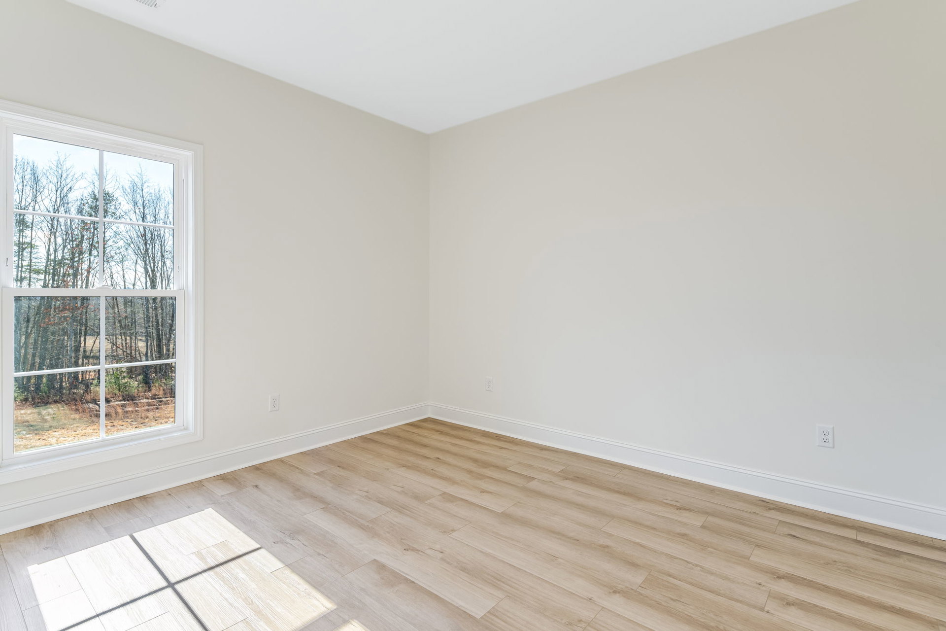 Sunlit room featuring a large window overlooking trees, smooth wood flooring, white walls, and a white ceiling.