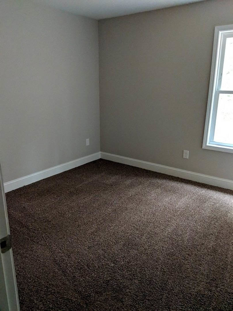 Sunlit room featuring a large window, white walls, and plush brown carpet flooring