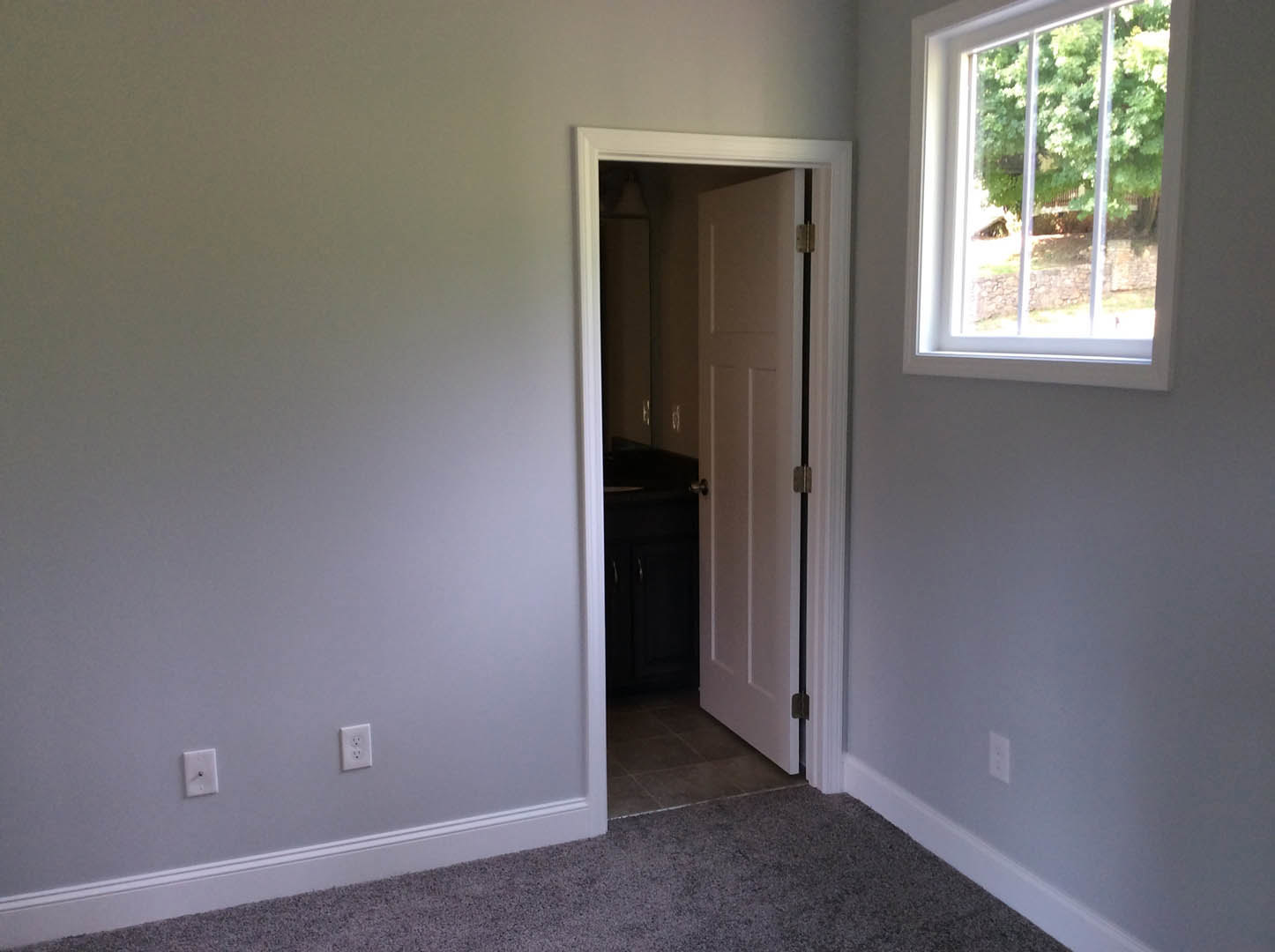 White paneled door with mirrored reflection, large window overlooking trees, beige carpet flooring, white wall featuring electrical outlets and light switch with black accent