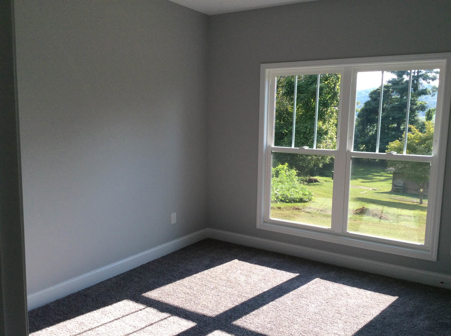 Carpeted room with white walls, large window featuring vertical bars, view of green yard and trees, bush visible outside.