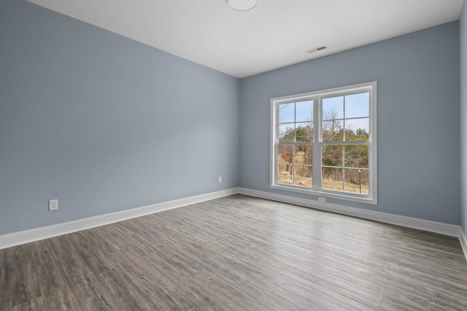 Sunlit room featuring wide wood plank flooring, large window framing leafy tree branches, white plaster walls, and a round ceiling light fixture.