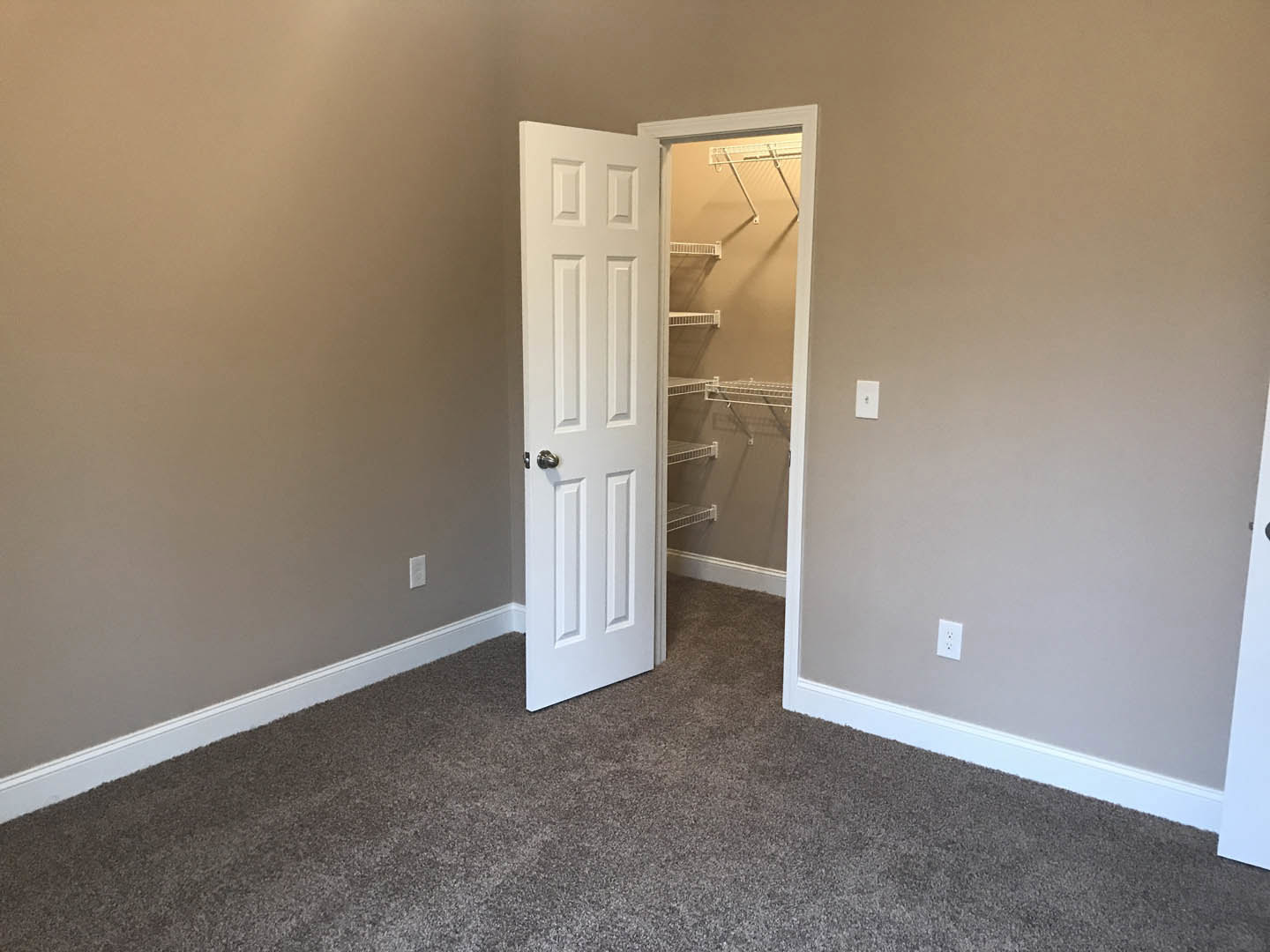 Open white door revealing carpeted closet with built-in white shelves, gray ceiling, and wall-mounted light fixture.