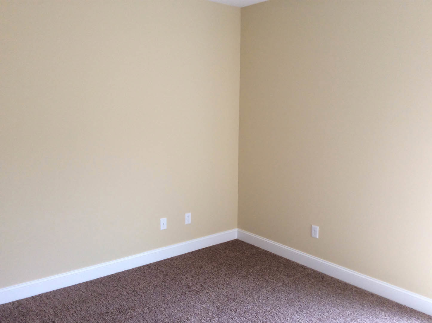 Beige carpeted floor and beige walls with white baseboard molding, electrical outlets visible along wall, corner of room shown