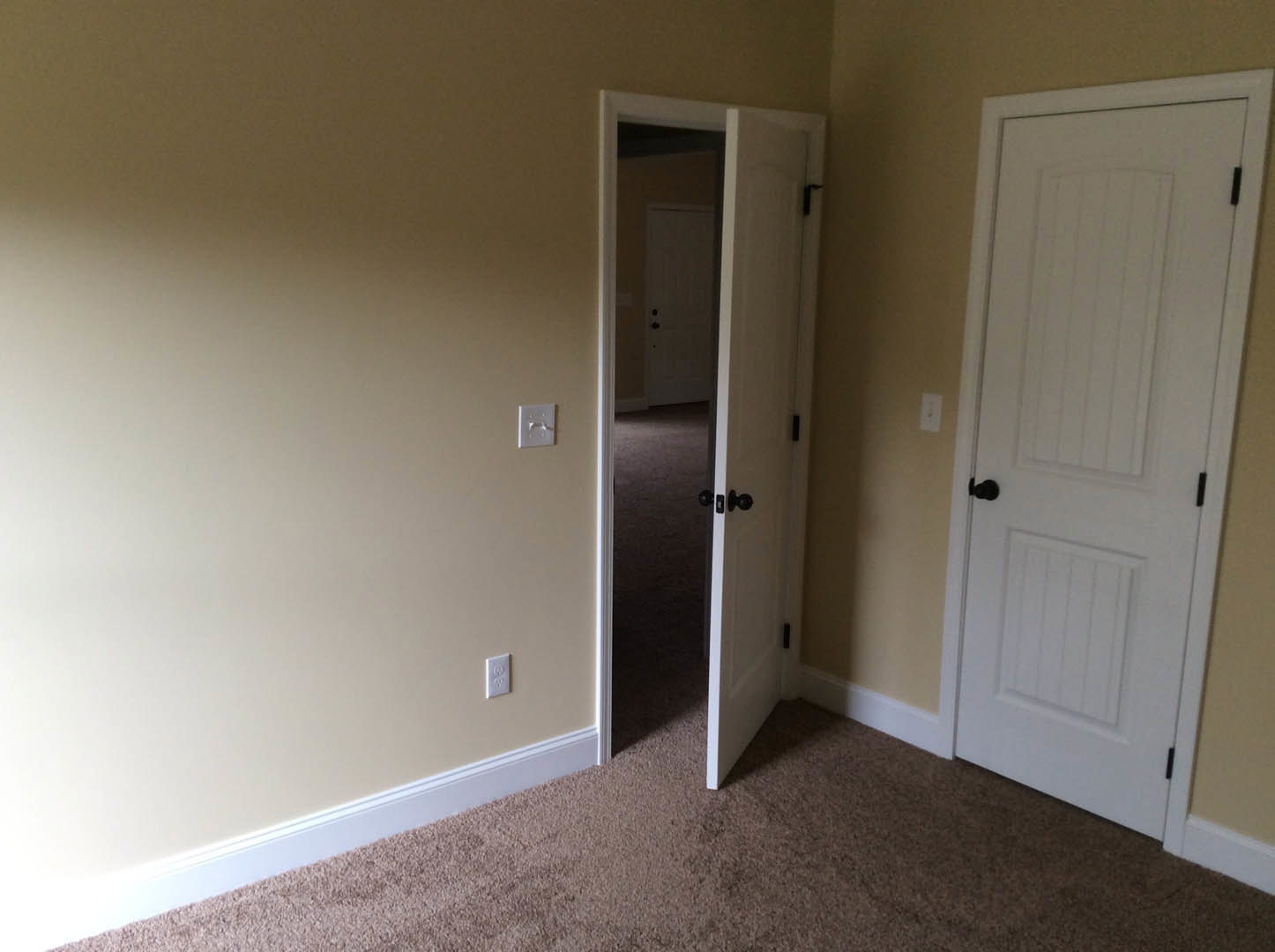 White paneled door with matte black hardware open to reveal plush beige carpet, white plaster walls, and modern black light switches.